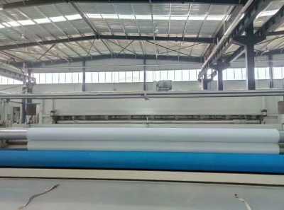 新聞 常德hdpe土工膜廠家送貨 產(chǎn)品出售